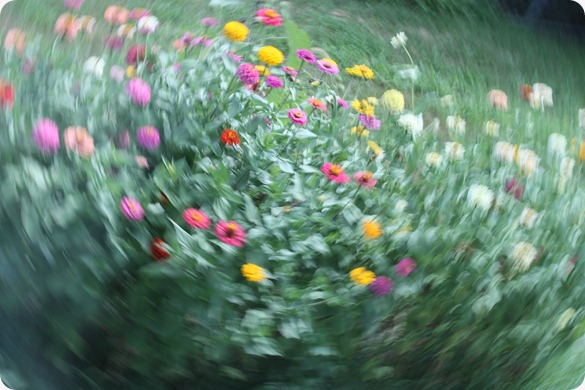 29_31SpinOnSummer