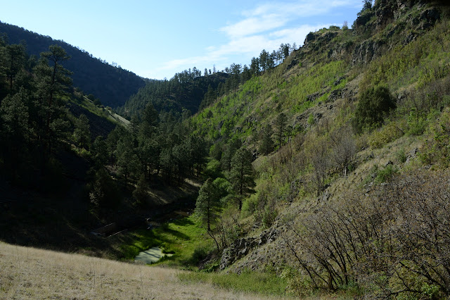 green covered water in a rocky canyon