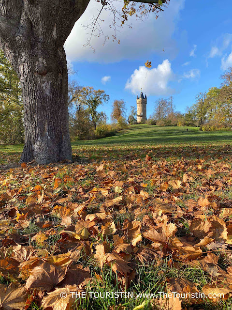 The stump of a large tree and a medieval tower in neo-Gothic style on a green grassy hill covered with light brown autumn leaves, under a blue sky with big white clouds.
