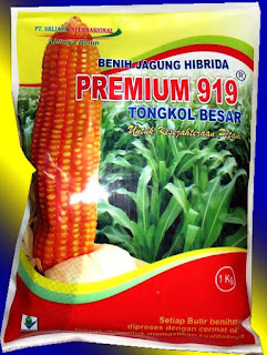Benih Jagung - PREMIUM 919 ( New Varitas)