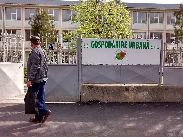 Un nou SCANDAL în Galați privind TĂIEREA COPACILOR | ATENȚIE la copacii uscați!