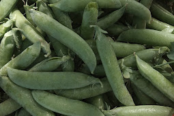 हरी मटर को महीनो तक घर में कैसे स्टोर करें | How to store green peas for long time at home in hindi | how to preserve green  peas 
