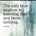 The only true wisdom is knowing that you know nothing.