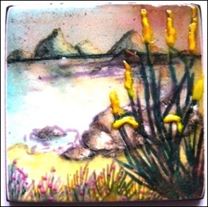 COASTAL ROCKS