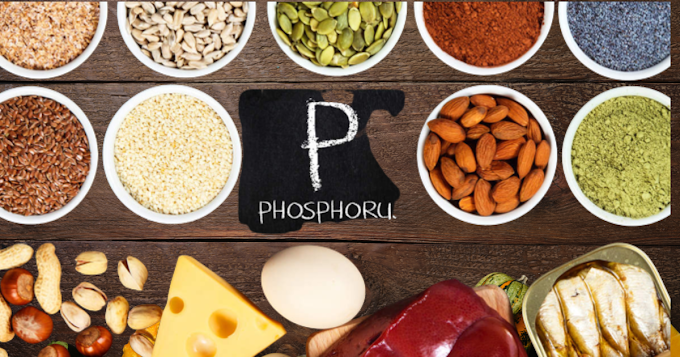 Low phosphorus vegetables | phosphorus vegetables