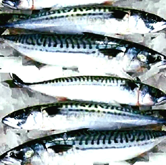 Mackerel packed with omega-3s and inexpensive