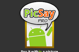 Picsay pro 