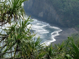 Black sand beach - Hiking Big Island Pololu Valley