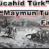 “Mücahid Türk” ve “Maymun Türk” Farkı