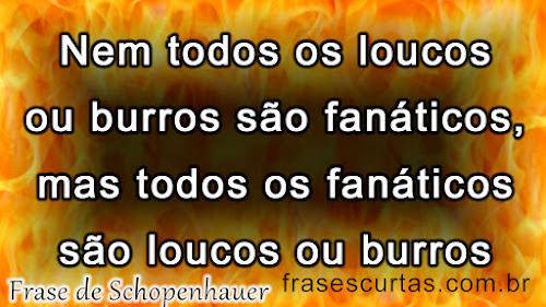 Nem todos os loucos ou burros são fanáticos, mas todos os fanáticos são loucos ou burros