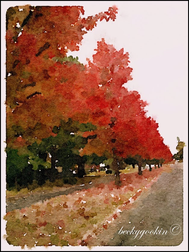 Waterlogue red tree avenue