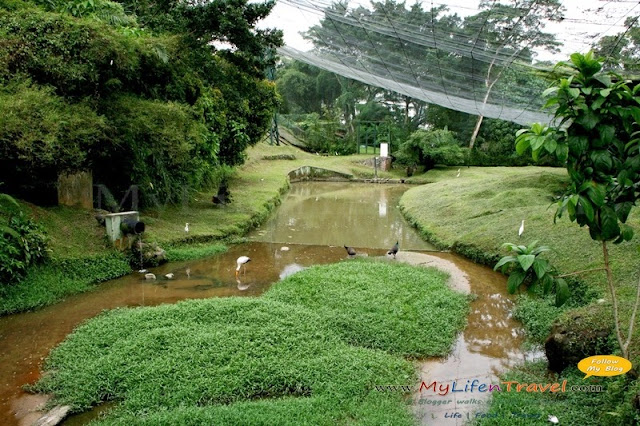 Kuala Lumpur Bird Park