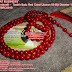 Muslim Prayer Beads Stone Tasbih BATU RED CORAL Lapis Resin : Kerajinan Tasbih Ukuran 99 Biji Diameter 10 mm