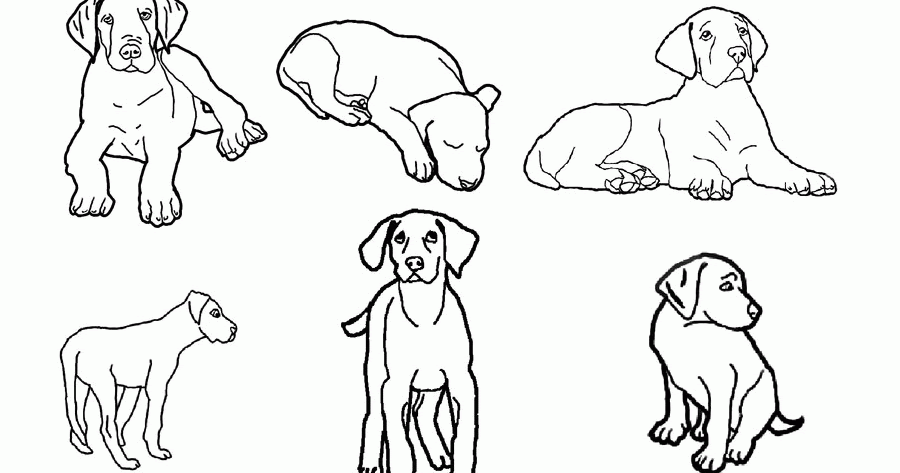Kids Page Great Dane Lineart Free Use By Okamiamaterasu1 Coloring Pages