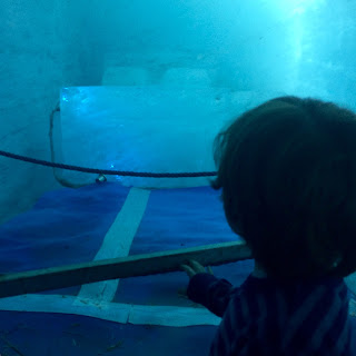 David in a blue ice-cave with an ice bed for World Toilet Day