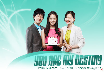 Phim Em Là Định Mệnh Đời Anh - VTV9 Online