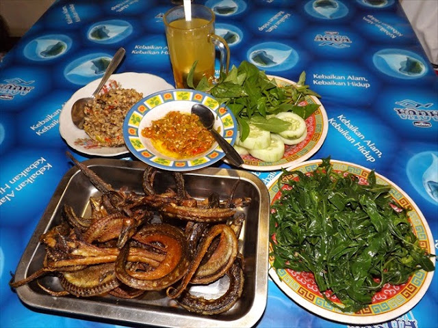 12 Kuliner Makanan Khas Bantul, Yogyakarta - Pecul welut khas Bantul
