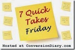 7_quick_takes_sm