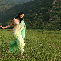 Actress Raai Lakshmi Saree Photos Gallery