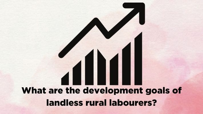 What are the development goals of landless rural labourers