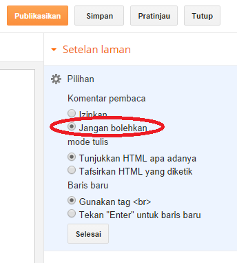 Option Laman Blogger