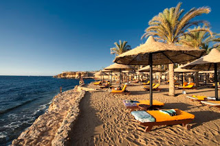 Sharm El Sheikh and Petra Holiday with All Tours Egypt 