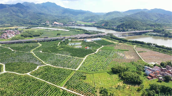 [sugar oranges Provincial-level Modern Agricultural Industrial Park]