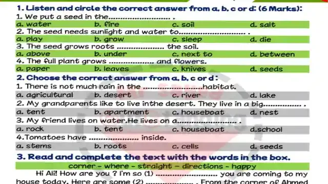 احدث امتحان لغة انجليزية مطابق للمواصفات الجديدة كونكت 4 للصف الرابع الابتدائى الترم الاول 2024