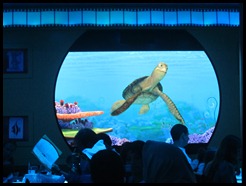 IMG_1846