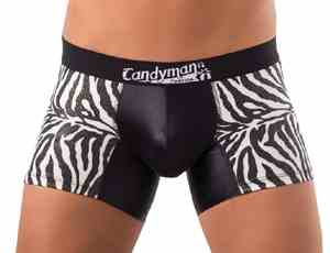 Candyman Zebra Boxer