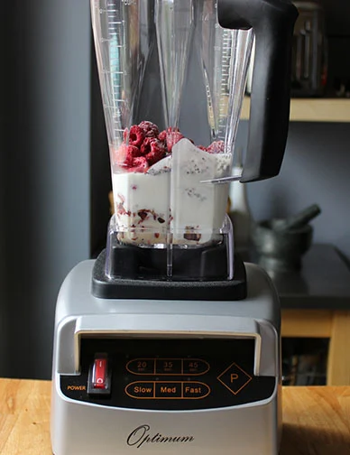 Froothie Power Blender