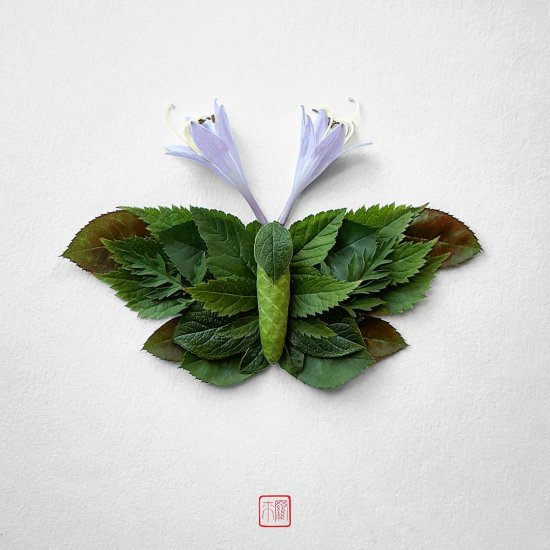 Raku Inoue reikan_creations arte instagram fotografia insetos feitos de flores plantas