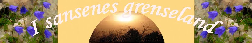 I sansenes grenseland