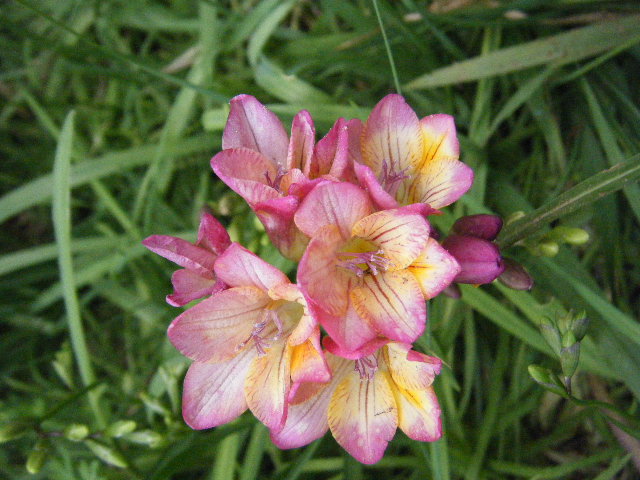 2010_02280007.JPG
