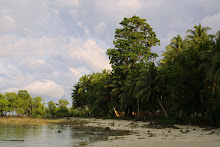 Isla Havelock