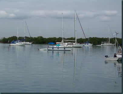 12.20.08 No Name Harbor, Key Biscayne, FL 027