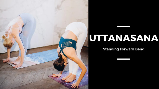 uttanasana, standing forward bend