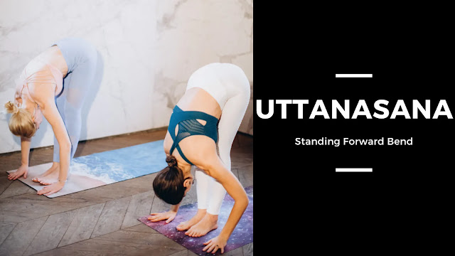 uttanasana, standing forward bend