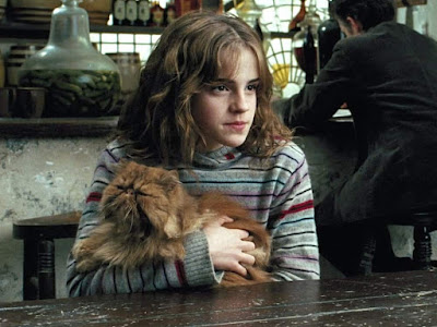 Hermione holding her cat, Crookshanks