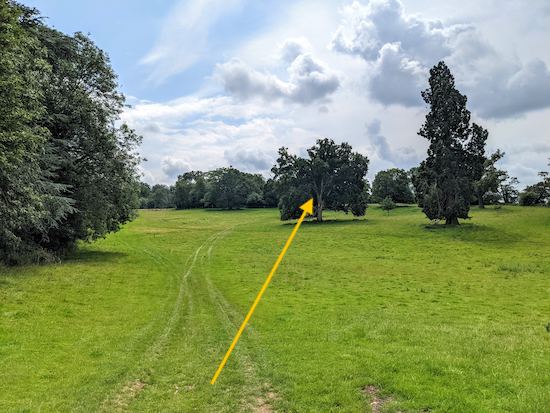 Head uphill following the line of the yellow arrow