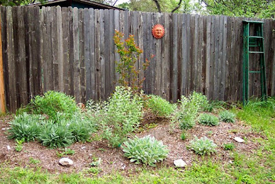 DivasoftheDirt, beds nr fence