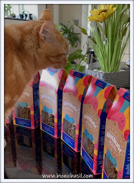 What's In The Box ©BionicBasil® Lovebug Insect-Based Cat Food