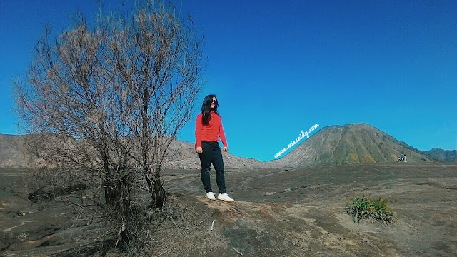 foto-foto di gunung bromo