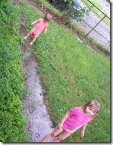 Rebecca's Pics 349