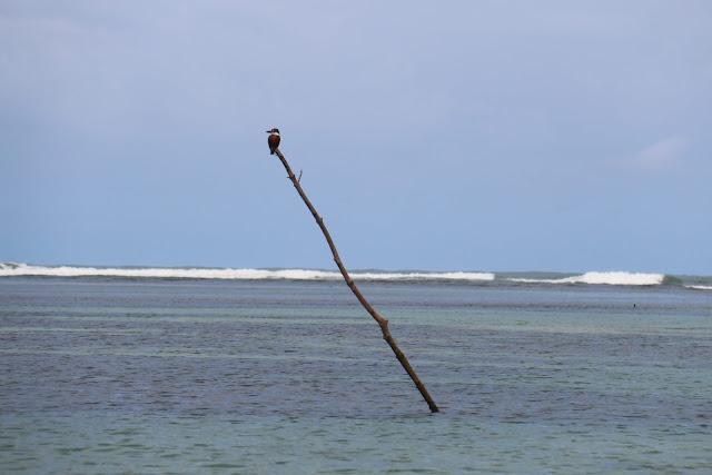 Blog Apaixonados por Viagens - Morro de São e Boipeba