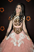 Kanika Kapoor glamorous photos-thumbnail-6