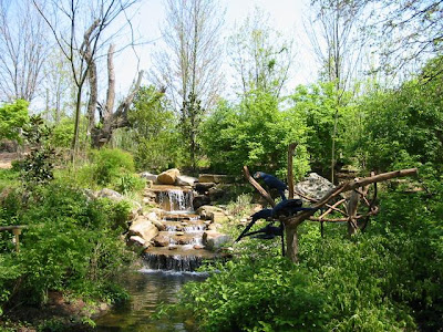 Nashville Zoo - Grassmere Hours and Coupons