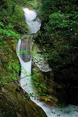 登竜の滝