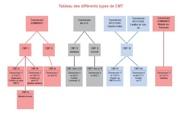  La maladie de Charcot