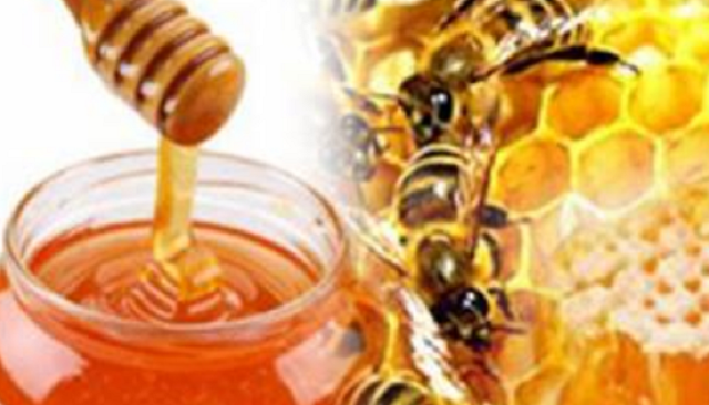 Mundwinkelrhagaden behandlung Honig